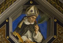 Sv. Albert Veliki – teolog, filozof, prirodoslovac i crkveni naučitelj