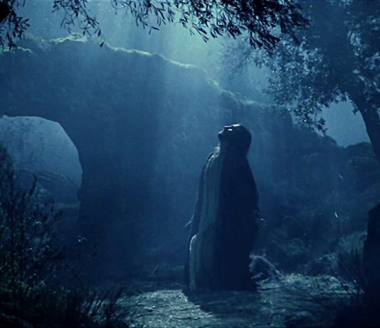 MOLITE S NAMA Utecimo se Isusu u Njegovoj tjeskobnoj muci