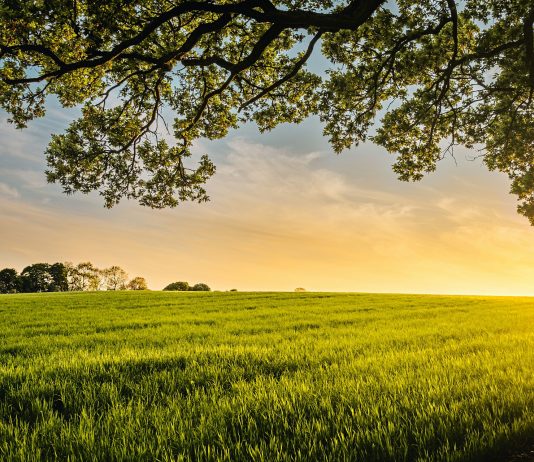 Priča o čovjeku koji nije znao čekati