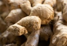 ĐUMBIR Zašto ga trebaš konzumirati?