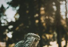 O gubitku se rijetko govori nakon pogreba…