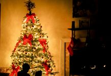 KIĆENJE BORA: Znate li zašto to radimo?