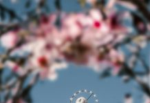 4 SAVJETA Ovako se možemo još više približiti Mariji