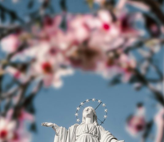 4 SAVJETA Ovako se možemo još više približiti Mariji