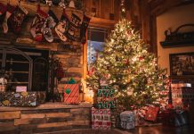 MARIO ŽUVELA: Božić nisu samo okićeni borovi