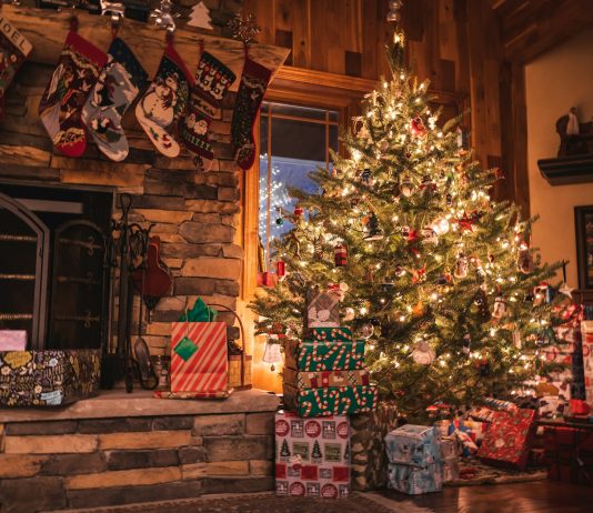 MARIO ŽUVELA: Božić nisu samo okićeni borovi