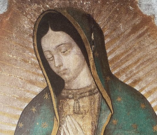 Gospa od Guadalupe – Gospa koja ‘zmiji satire glavu’