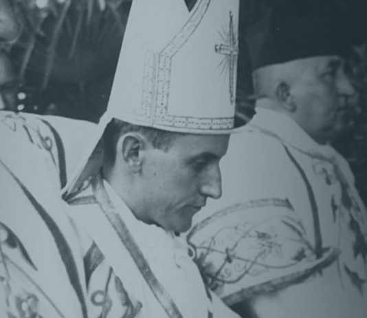 DONOSIMO Snažna propovijed bl. Alojzija Stepinaca na Staru godinu