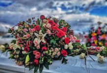 Svađamo se sa živima, a poklanjamo cvijeće mrtvima…