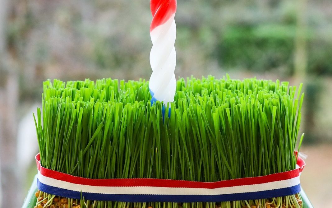 MAŠTOVITI OBIČAJI Ovo vežemo uz sv. Luciju