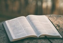 SLUŽBENO: Najčitanija knjiga u 2025. godini je – Biblija!