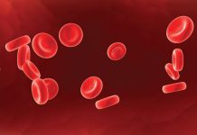 SVE ŠTO NISTE ZNALI Željezo u krvi