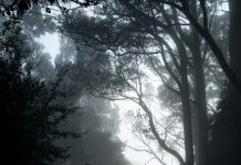 Strah je taktika Zloga