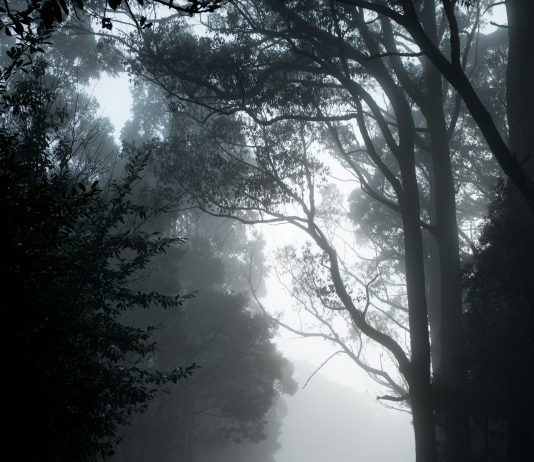 Strah je taktika Zloga