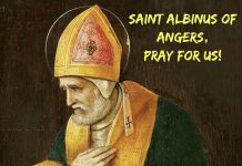 Sv. Albin – opat i biskup Angersa