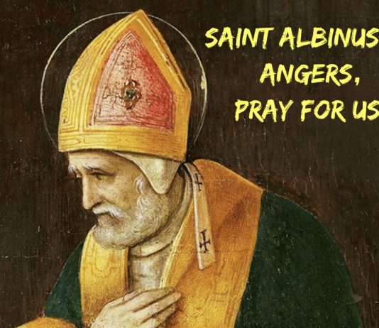 Sv. Albin – opat i biskup Angersa