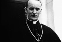 Bl. Alojzije Stepinac: U dušu, koja misli na zlo, ne uvraća se mudrost