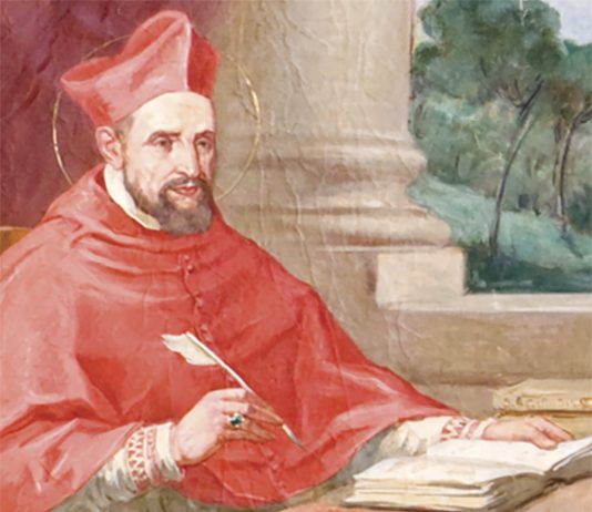 DONOSIMO 6 savjeta Karla Boromejskog