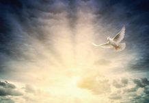 Koji su to grijesi protiv Duha Svetoga?