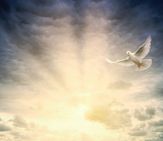 Budi poslušan Duhu!