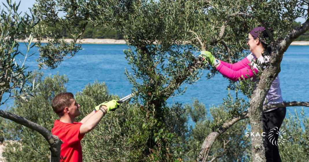 MODRAVE PRIJE LJETA Ideš li i ti?