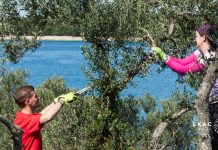 MODRAVE PRIJE LJETA Ideš li i ti?