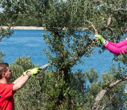 MODRAVE PRIJE LJETA Ideš li i ti?