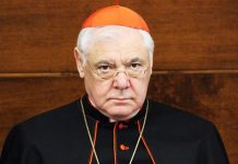 Kardinal Müller: Nitko nema pravo kritizirati Papu ako vjerno slijedi svoje poslanje