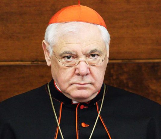 Kardinal Müller: Nitko nema pravo kritizirati Papu ako vjerno slijedi svoje poslanje