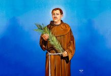 Bl. Alojzije Palić – hrvatski svećenik s Kosova, franjevac i mučenik