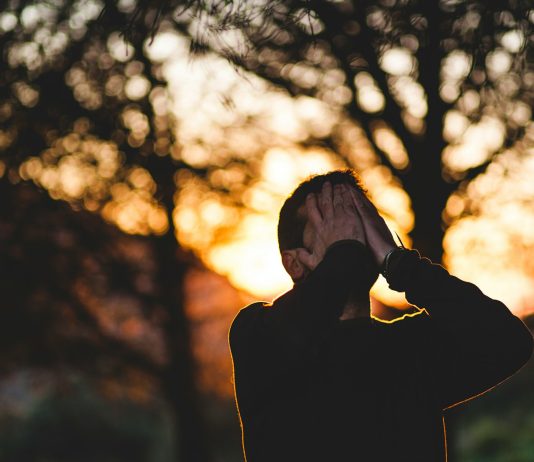 PREDIVNA MOLITVA Mala krunica ljubljenog grešnika