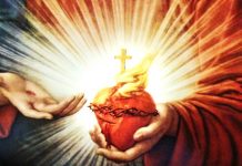 Krunica Raspete ljubavi