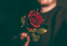 POSTAVI PRAVA PITANJA Ovako možeš izbjeći zaljubljivanje u pogrešnu osobu