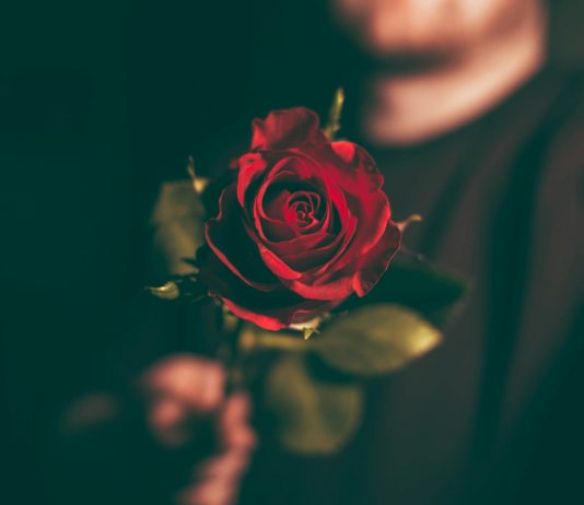 POSTAVI PRAVA PITANJA Ovako možeš izbjeći zaljubljivanje u pogrešnu osobu