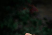 DUHOVNA PRIČA Mladić i prsten