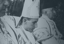 BL. ALOJZIJE STEPINAC: Ima li veće karikature slobode negoli…?