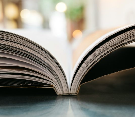 POGLEDAJTE Pet najprodavanijih knjiga Naklade Crisinus za mjesec lipanj