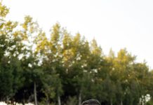 SVEĆENIK OBITELJIMA Imate li mjesta za još jedno dijete?